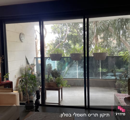 דלתות זכוכית עם צמחים במרפסת